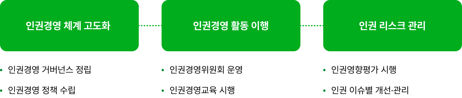 인권경영 체계 고도화(인권경영 거버넌스 정립, 인권경영 정책 수립), 인권경영 활동 이행(인권경영위원회 운영, 인권경영교육 시행), 인권 리스크 관리(인권영향평가 시행 ,인권 이슈별 개선·관리)